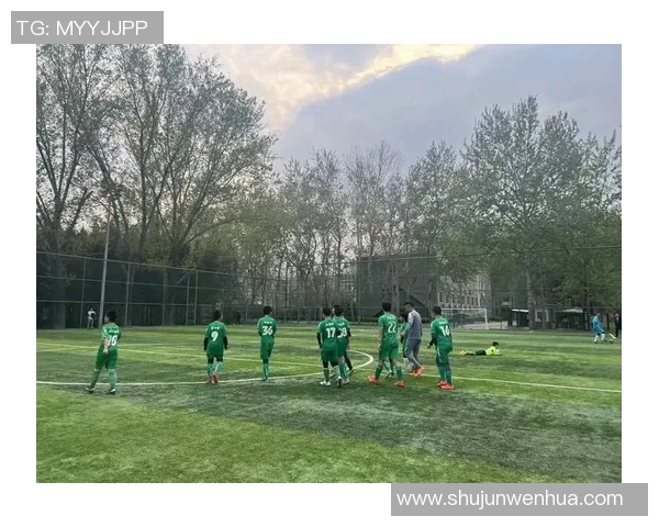 家庭足球门让孩子们在家中尽享足球乐趣培养运动兴趣与团队精神 家庭足球门让孩子们在家中尽享足球乐趣培养运动兴趣与团队精神